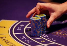 81 bet app